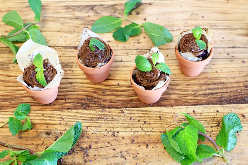 Chocolate Pot Cupcakes (Recipe) | FOOD MATTERS®