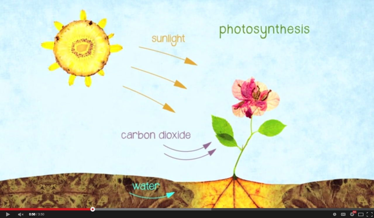 The Secret Ingredient In Our Food Chain (Short Video) | FOOD MATTERS®
