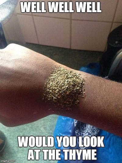 Funny Friday 6 Foodie Memes To Make You Smile Food Matters