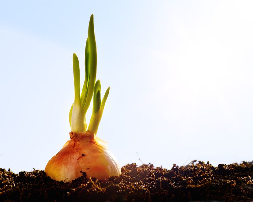 Does This Man Hold The Secret To Replenishing Our Land? (Must-Watch TED Talk)
