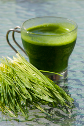 wheatgrass