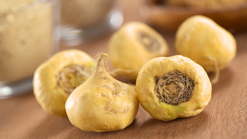 Maca Root Effective For Menopause
