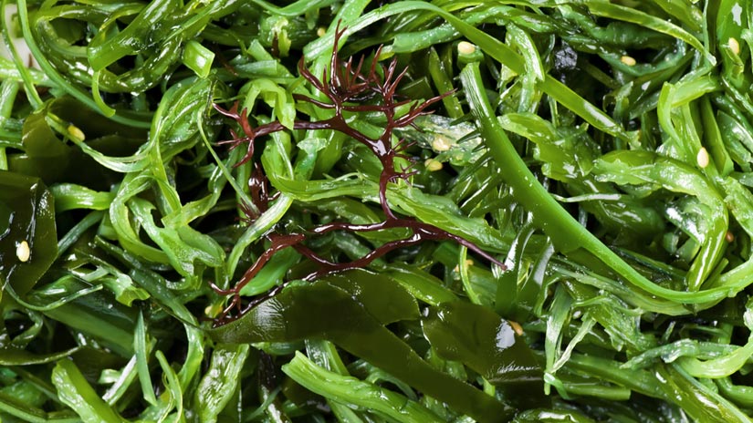 Seaweed Superfoods