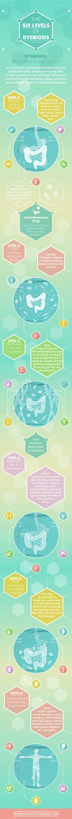 6 stages of dysbiosis