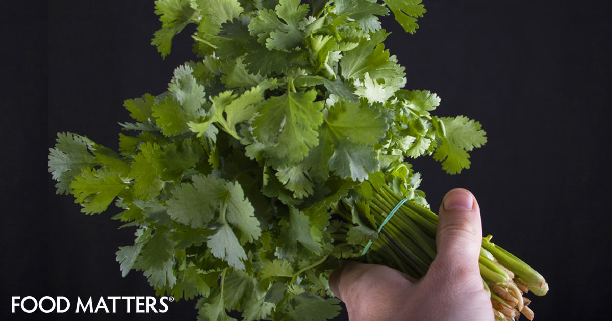 Top 5 Health Benefits Of Cilantro FOOD MATTERS®