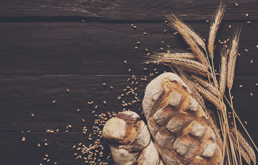 The Dangers of Modern Wheat