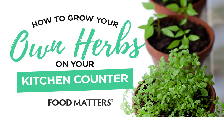 How To Grow Your Own Herbs On Your Kitchen Counter | FOOD MATTERS®