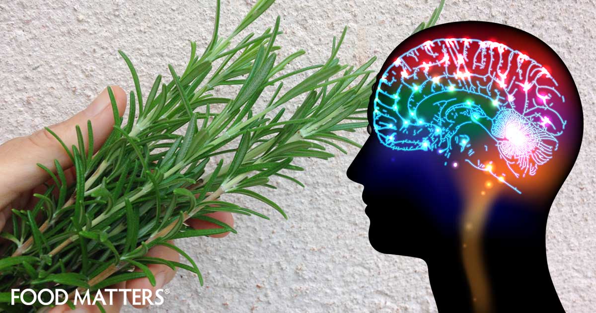 Powerful Herbal Solutions for Healthy Brain Function