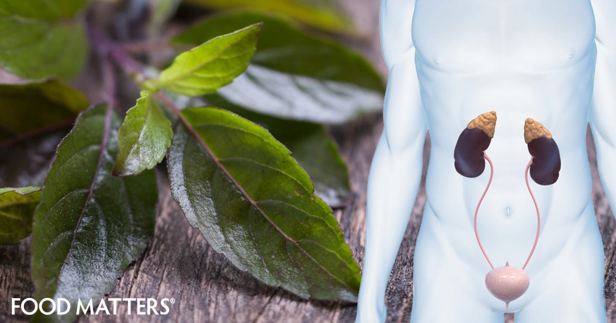 If You Feel Constantly Stressed, Start Consuming These Safe Anti-Stress Supplements