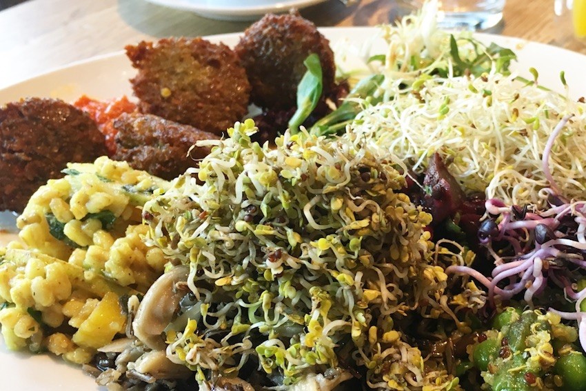 Plant-based? What do you eat? | FOOD MATTERS®