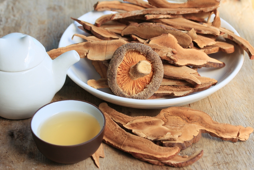 Everything You Need To Know About Medicinal Mushrooms FOOD MATTERS®