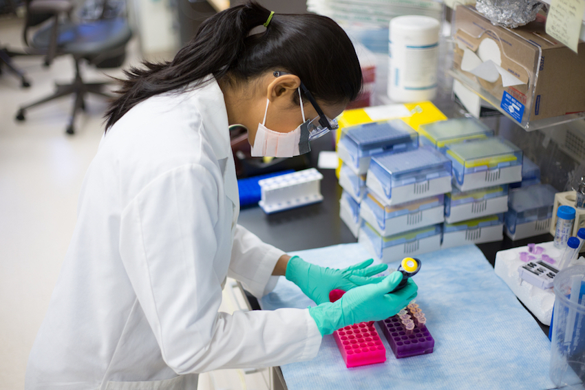 The DNA Tests That Predict Your Health Risks FOOD MATTERS®