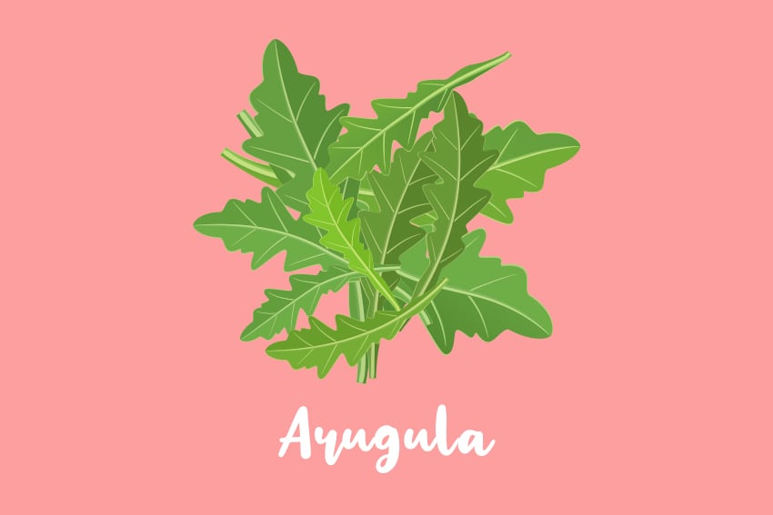 Arugula