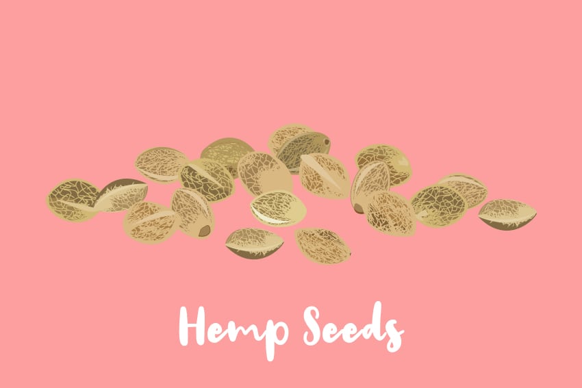 Hemp Seeds