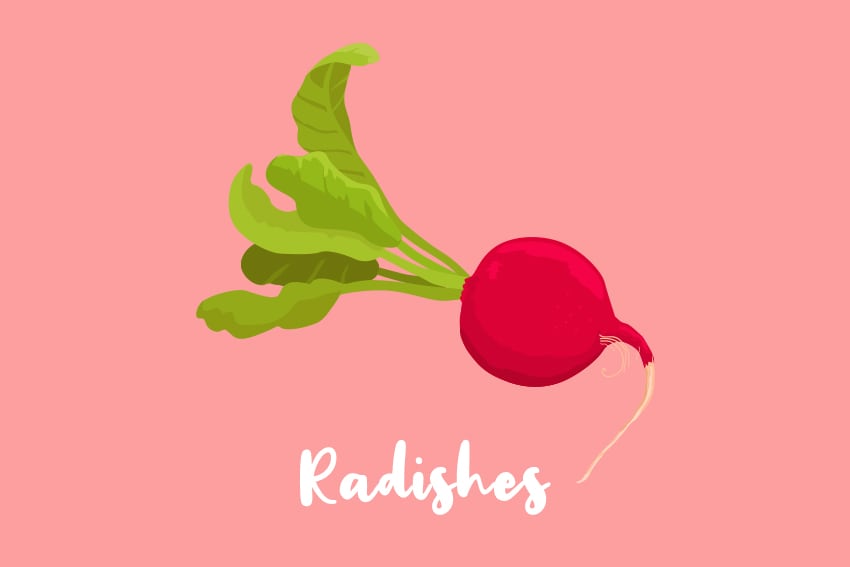 Radishes