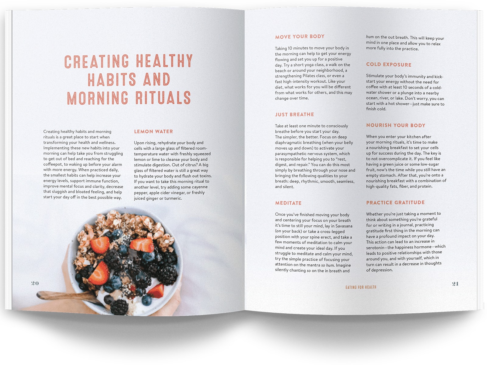 The Food Matters Cookbook Pages Open