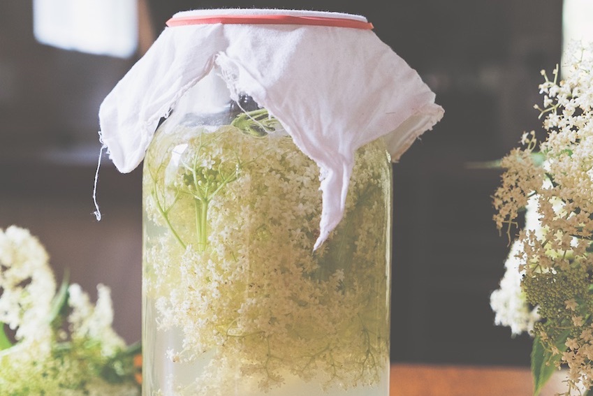 Wild Fermented Elderflower Soda | FOOD MATTERS®