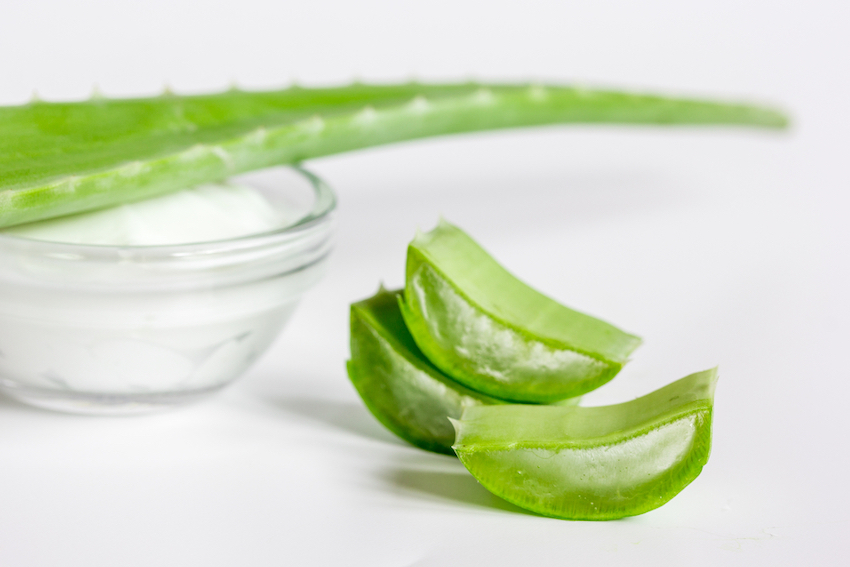 Как сделать лосьон из алоэ. Кашица из алоэ. aloe vera lotion.