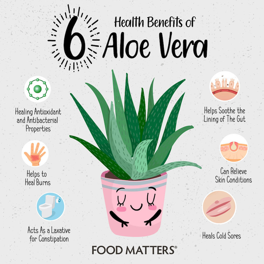 6 Health Benefits Of Aloe Vera 3 Simple Ways To Use It Food Matters®